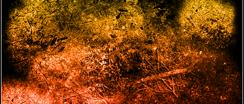 15 Free Abstract Grunge Photoshop Brushes