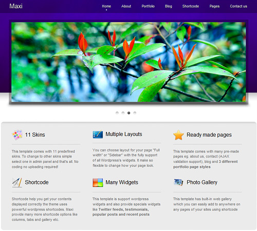 Maxi Awesome Free WordPress Themes for Business Websites