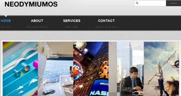 Neodymiumos Awesome Free WordPress Themes for Business Websites