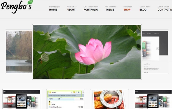 Pengbo Awesome Free WordPress Themes for Business Websites