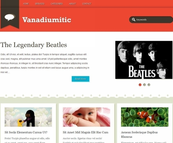 Vanadiumitic Awesome Free WordPress Themes for Business Websites