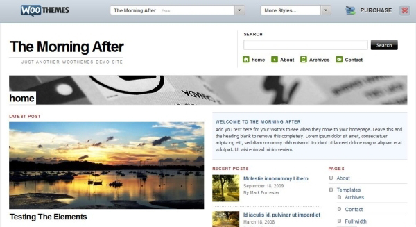 Woo Theme Awesome Free WordPress Themes for Business Websites