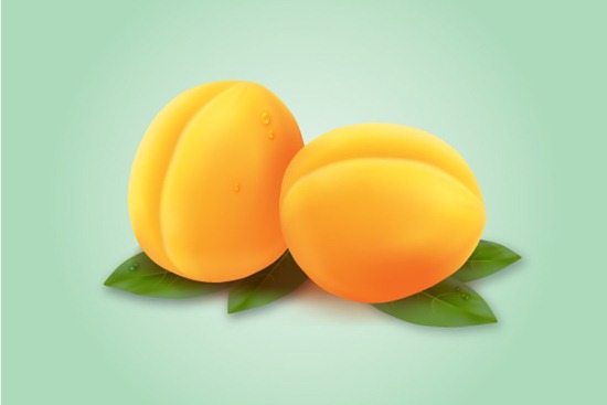 How to Draw an Apricot with the Mesh Tool