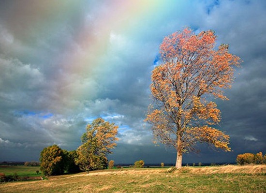 AddARainbowToAPhoto AddARainbowToAPhoto