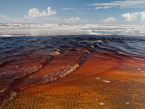 Fraser Island Australia