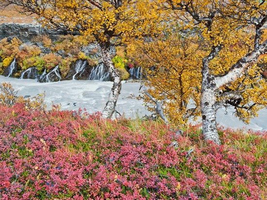 Hraunfossar Waterfall, Iceland