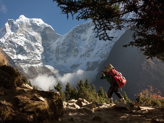 Nepal. Sherpa carries the luggage in the vicinity of the Tengboche Monastery.