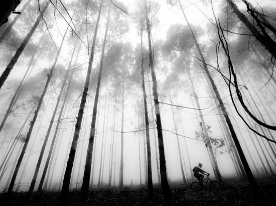 Mountain Biker, South Africa