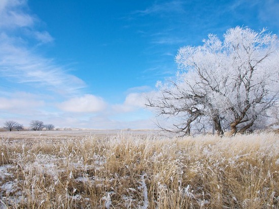 Snowfall, Wyoming