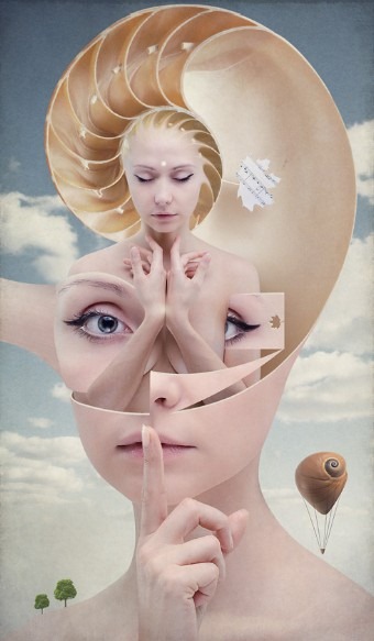 Consciousness snails Consciousness snails