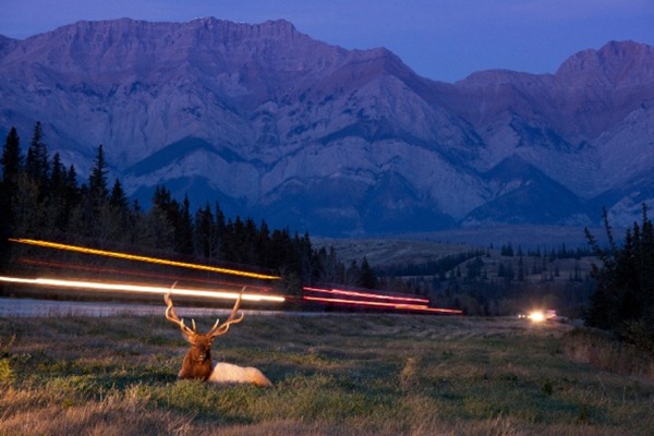 Life in the border zone