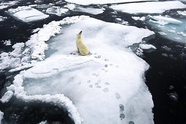 Living on thin ice