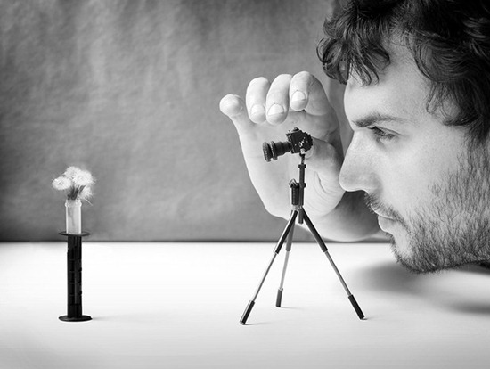 Microphotography Microphotography
