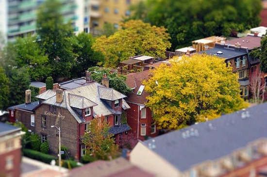 Miniature Homes in Early Autumn
