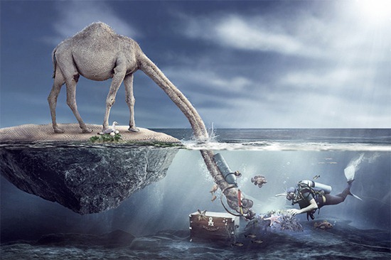 Search-in-the-sea-manipulation Search-in-the-sea-manipulation