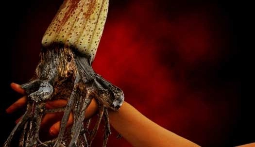surreal-flower-creature surreal-flower-creature