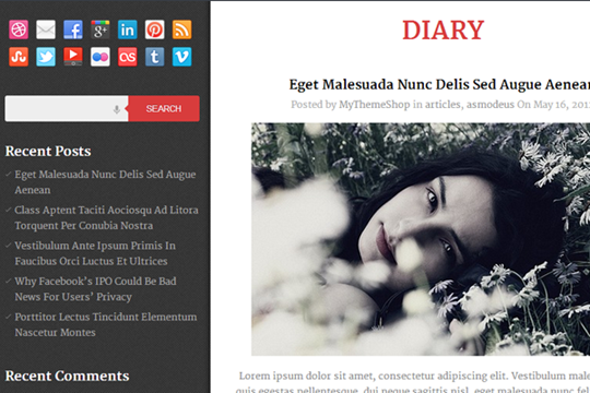 Diary-free-wordpress-theme-2012