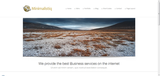 Minimalistiq