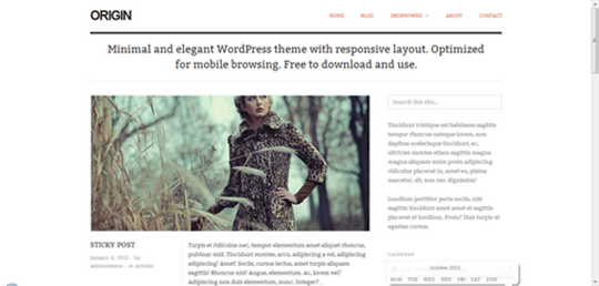 origin-free-responsive-wordpress-theme-2012