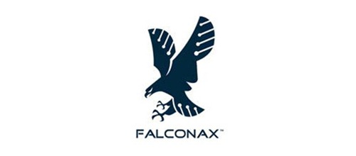 Eagle Logo Designs 1