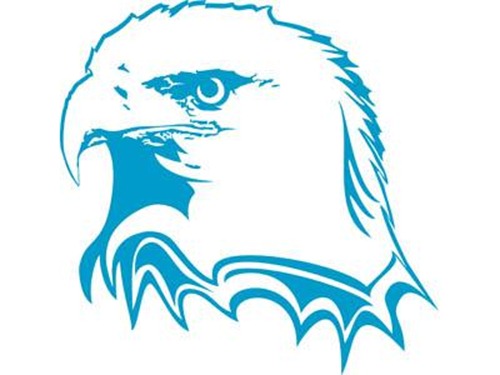 Eagle Logo Designs 3