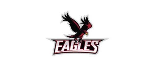 Eagle Logo Designs 8