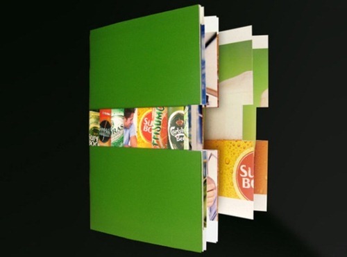 Print-Brochure-Designs-7