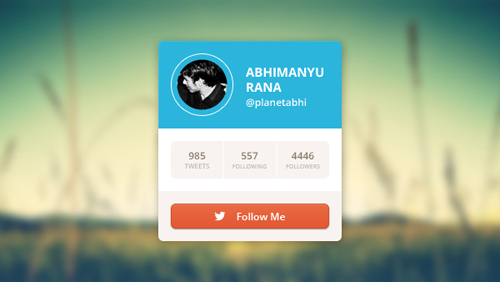 Twitter Account Widget