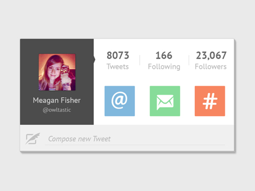 Twitter Widget User Interface