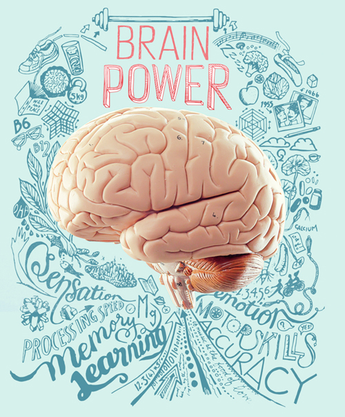 Brain Power
