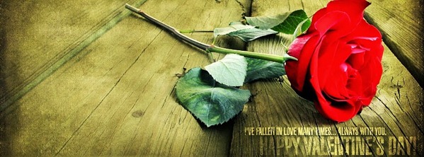 valentine facebook cover 13