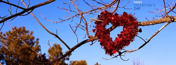 valentine facebook cover 16