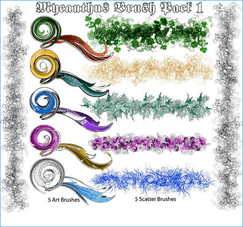 Mycanthus Brush Pack
