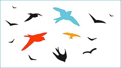 bird