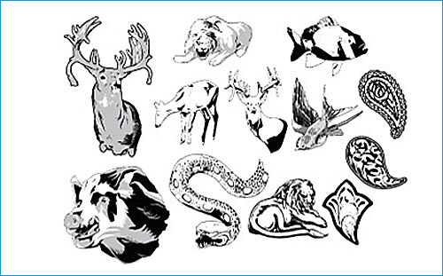 Animals