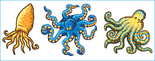 Octopus 