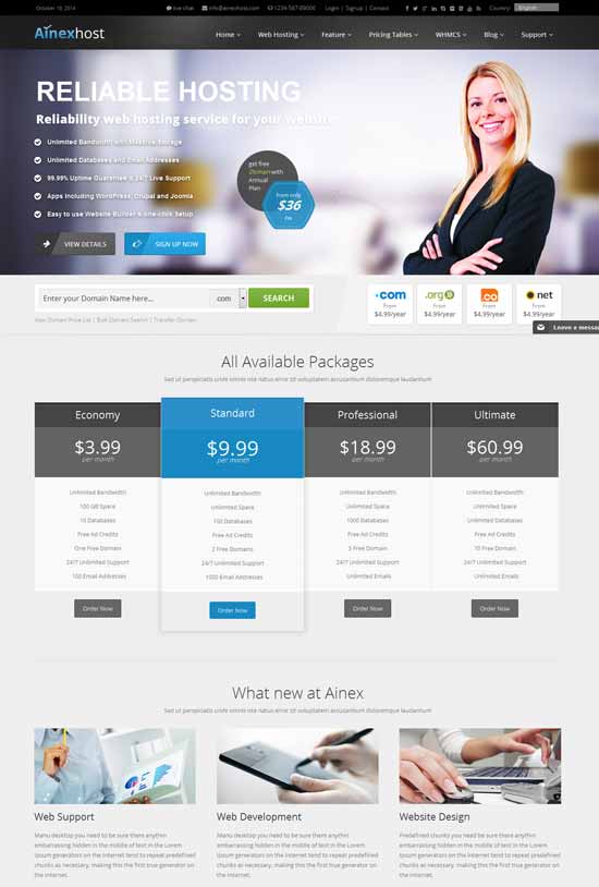 Ainex-Host-WHMCS-WordPress-Integration-Theme