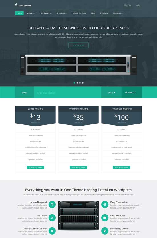 Servereza-Responsive-Hosting-WP-Theme