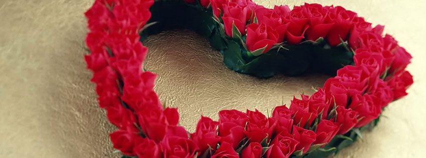 Rose-Flowers-for-Valentines-day-2016-cover-photo