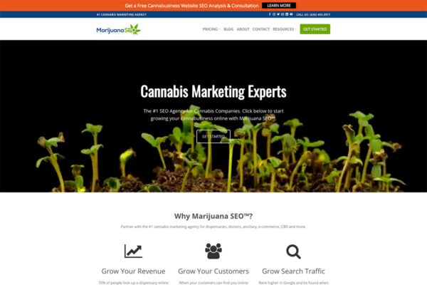 Marijuana SEO